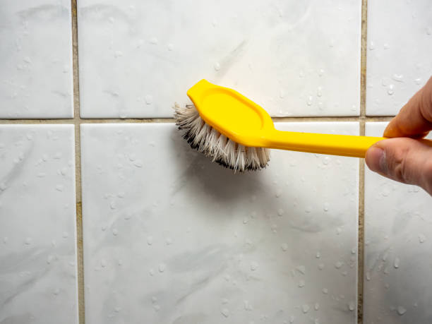 Mold Removal and Inspection in Yorkville, NY