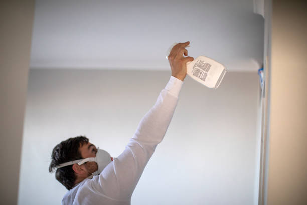 Best Affordable Mold Removal  in Yorkville, NY