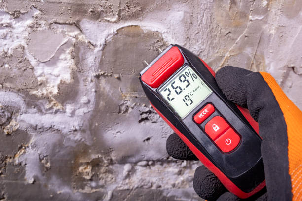 Best Mold Damage Repair  in Yorkville, NY
