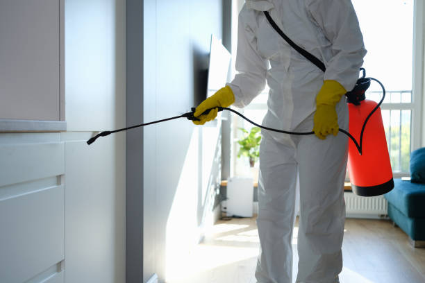 Best Crawl Space Mold Removal  in Yorkville, NY