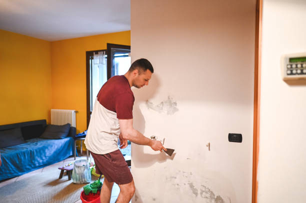Best Mold Removal Near Me  in Yorkville, NY