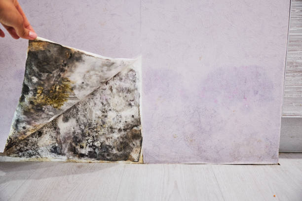 Water Damage Restoration in Yorkville, NY